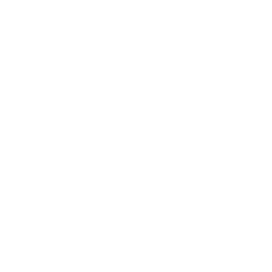 Elimer
